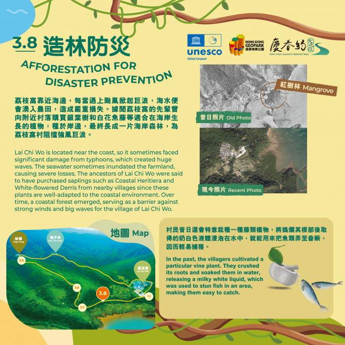 Hong Kong UNESCO Global Geopark