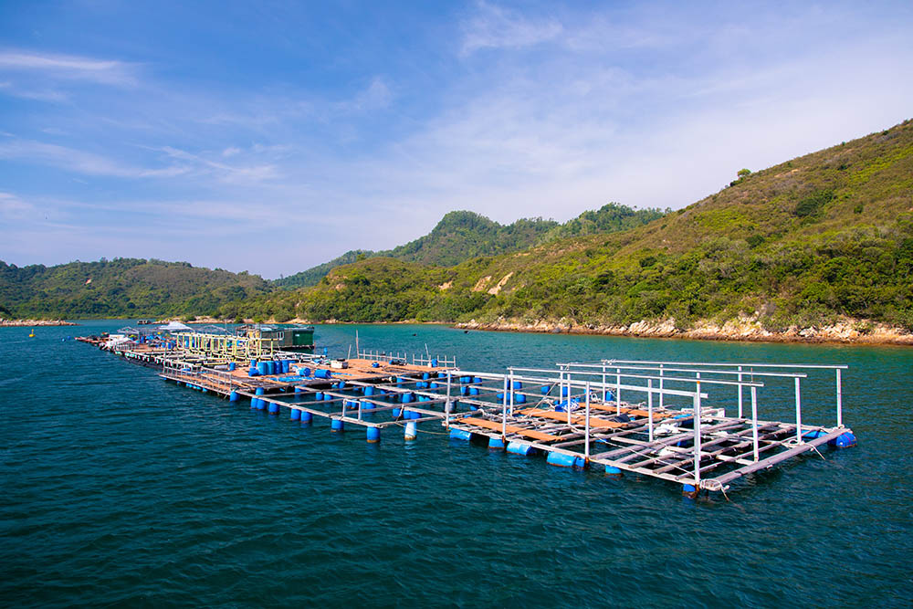Hong Kong UNESCO Global Geopark